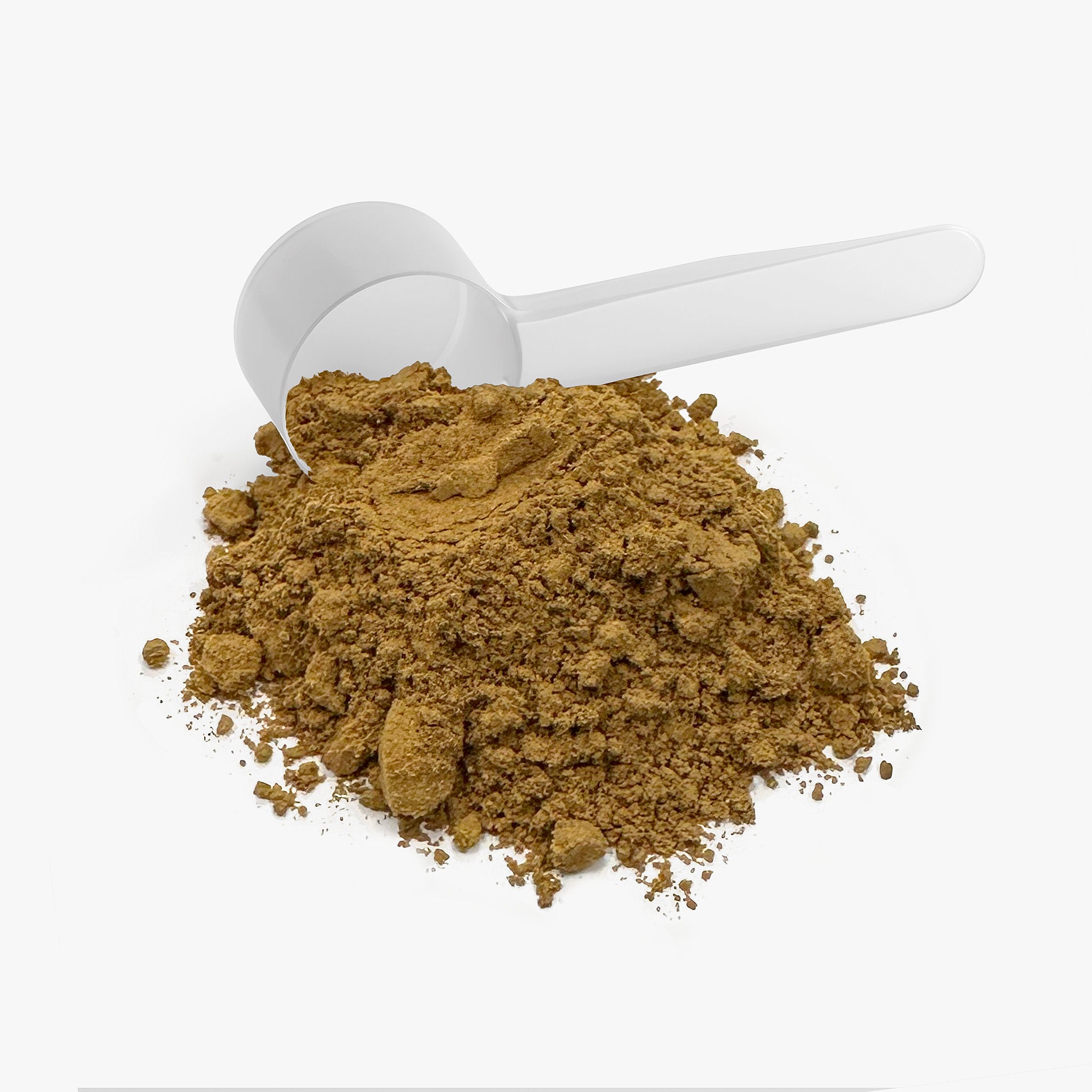 Work Wife Edition Mushroom Fuse Instant Coffee (Medium Roast)